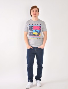 CAMISETA ESTAMPADA