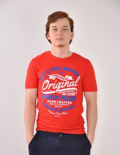 CAMISETA ESTAMPADA 